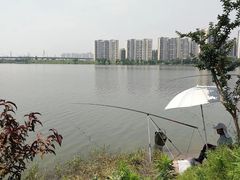 -野芷湖(地铁站)