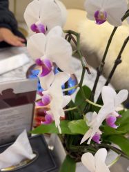 -洁铭新加坡医美