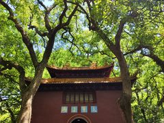 -普陀山风景名胜区-法雨禅寺