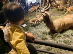 -国家自然博物馆