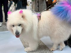 -东浩兰生上海世博展览馆