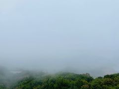 -枸杞岛