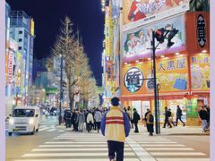 -秋叶原电器街