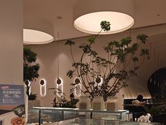 -gaga(金光华店)