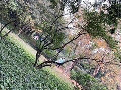 -八大关景区
