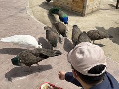 -水上乐园·欢乐世界