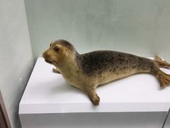 -国家自然博物馆