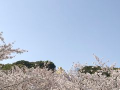 -苏州上方山国家森林公园