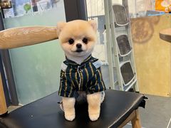 -萌兽医馆·眼科·异宠专科(三里屯店)