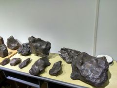 -志强陨石馆(双季花艺店)