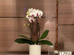 -墨宴(西洋湖店)