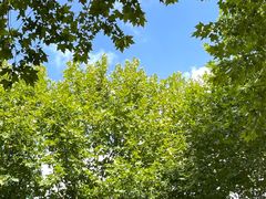 -上海野生动物园