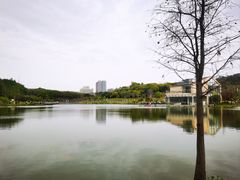 -东莞植物园