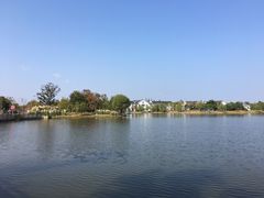 -上海长兴岛郊野公园