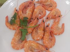 白灼海中虾-旺富东海大酒楼(海鲜街店)