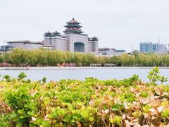 -莲花池公园