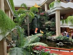 -广州白天鹅宾馆