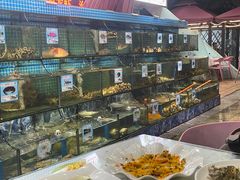 -范饭椰林川湘味海鲜·椰子鸡(三亚湾椰梦长廊店)