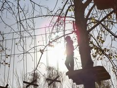 -朝阳公园游乐园