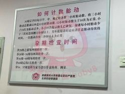 -北京妇产医院(东院)