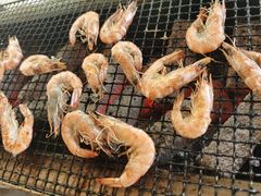 -吴淞炮台湾湿地森林公园烧烤区