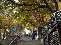 -青岩寺风景区