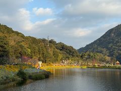 -广州市石门国家森林公园