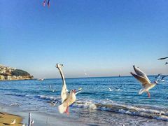 -海云台海滩