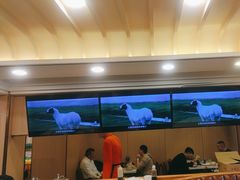 -蝎王府羊蝎子(北大地店)