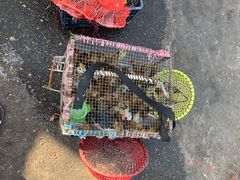 -ခြောက်ထပ်ကြီးရွှေသာလျောင်းဘုရားကြီး