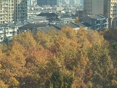 -杭州西湖湖滨银泰亚朵酒店