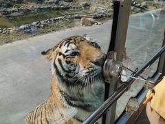 -西安秦岭野生动物园