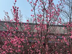 -艾山风景名胜区