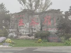 -王莽岭风景区