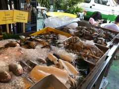 -大树下海鲜饭店