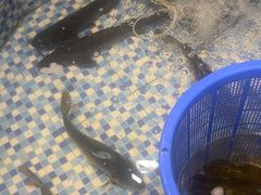 -门家大院铁锅炖·KTV·包房(浑南店)