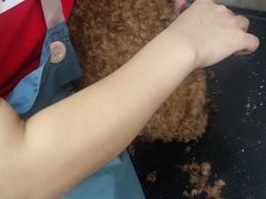 -PETKIT 小佩宠物·低压洗护·美容·寄养(安远店)