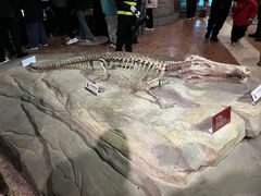 -自贡恐龙博物馆