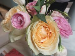 -木棉花开(中心城店)