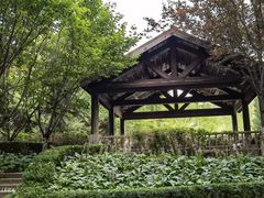 -春晖园度假酒店温泉