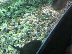 -苏州海洋馆
