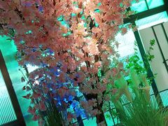 -野妹火锅(龙岗店)