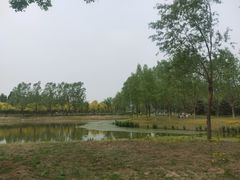 -东郊湿地公园