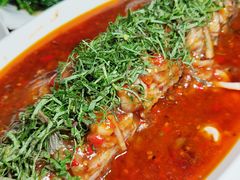 -老字号怡玺·藿香雅鱼(20年雅安店)