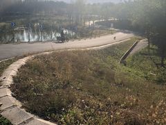 -东郊湿地公园