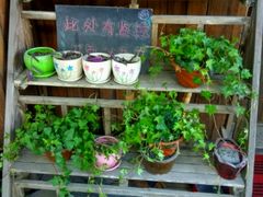 -苏州桃花坞国际青年旅舍