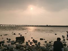 -宝安西湾红树林湿地公园