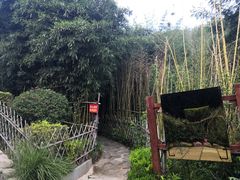 -竹子庵公园
