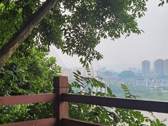 -大渡口区义渡公园