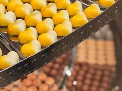 -Laderach 莱德拉(上海环贸iapm店)